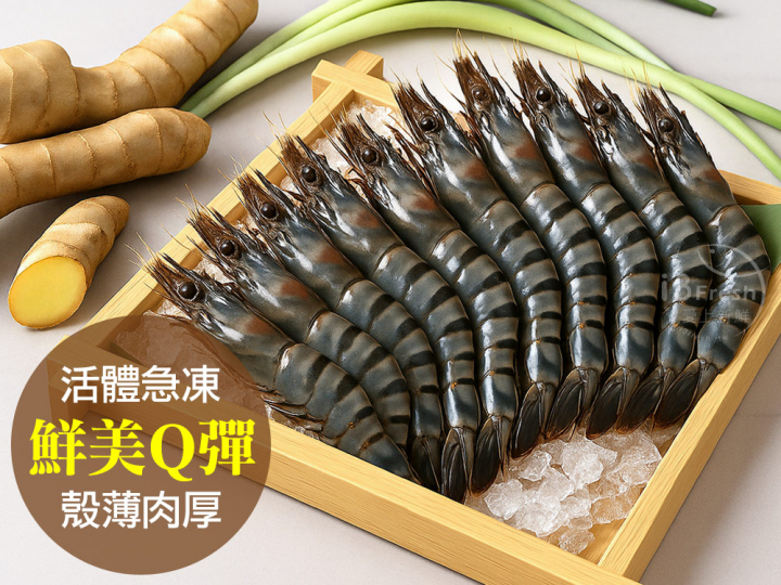 極品活凍大草蝦