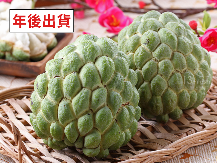 台東特級甜心釋迦