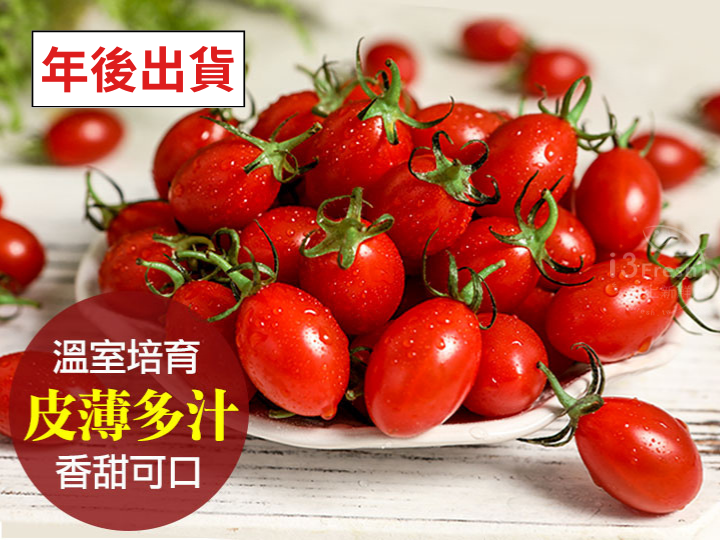 鮮採薄皮玉女小番茄