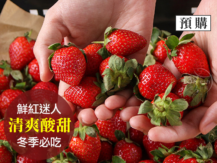 特選鮮採大湖草莓(2盒)