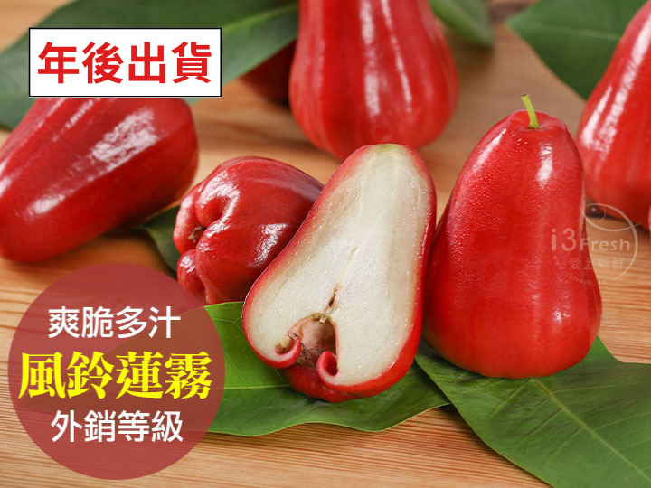 鮮採蜜風鈴蓮霧