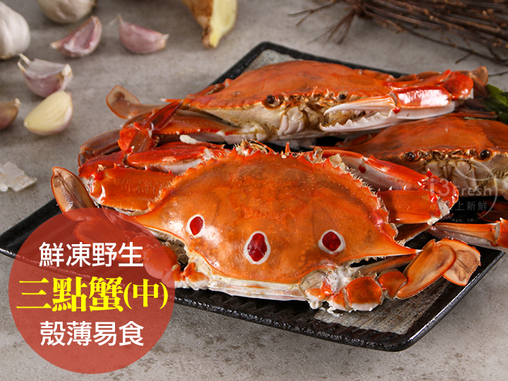 鮮凍野生三點蟹(中)