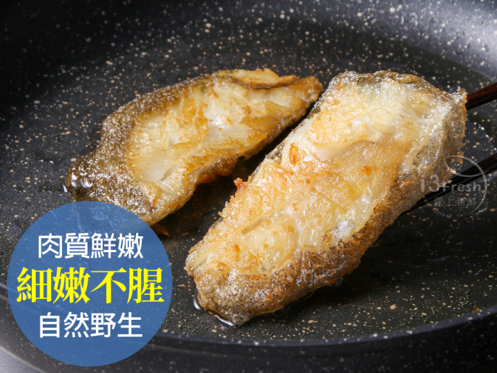 北大西洋野生比目魚