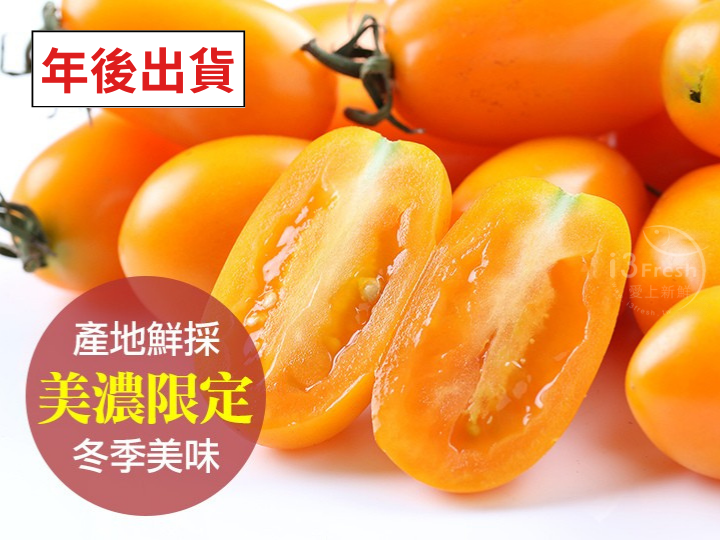 橙蜜香小番茄