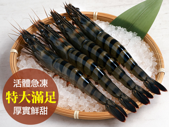 極品活凍特大草蝦