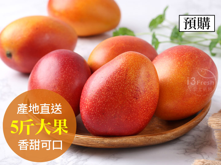 產地嚴選愛文芒果(大果)