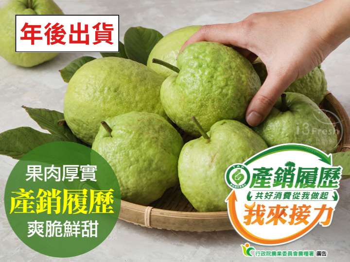 溪州產履珍珠芭樂