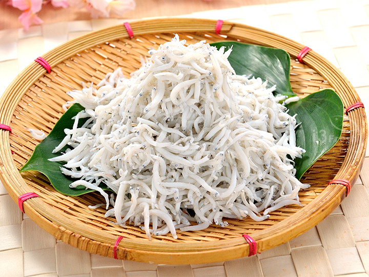 南方澳吻仔魚