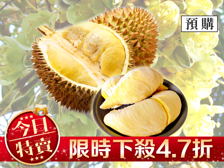 鮮採冷凍泰國金枕頭榴槤 