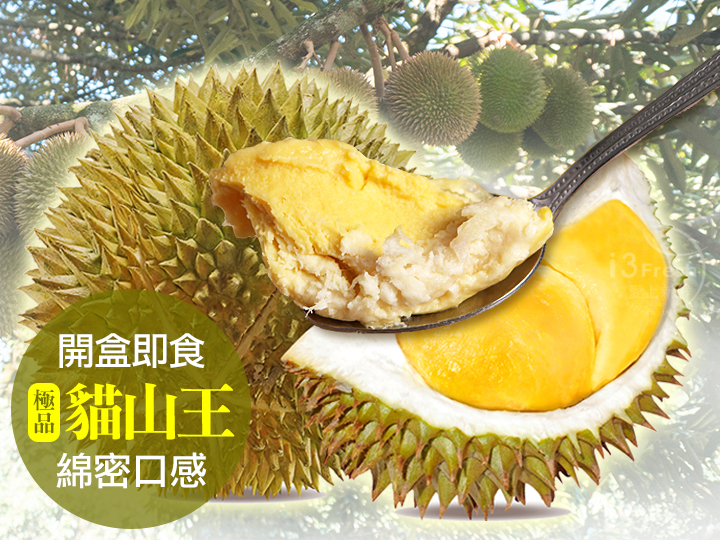 頂級貓山王榴槤鮮凍果肉